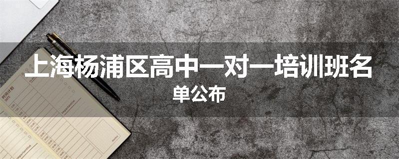 上海杨浦区高中一对一培训班名单公布