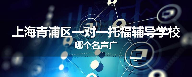 上海青浦区一对一托福辅导学校哪个名声广