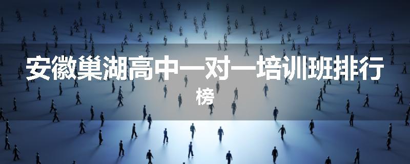 安徽巢湖高中一对一培训班排行榜