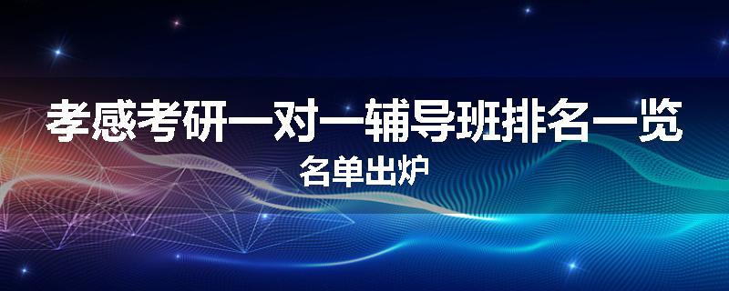 孝感考研一对一辅导班排名一览名单出炉