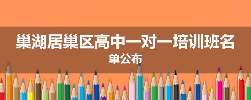 巢湖居巢区高中一对一培训班名单公布