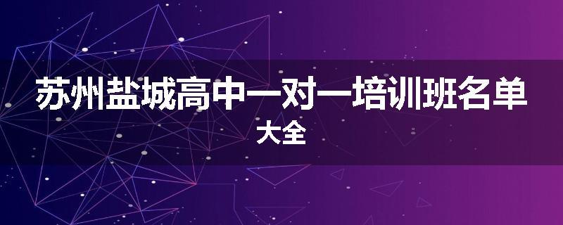 苏州盐城高中一对一培训班名单大全