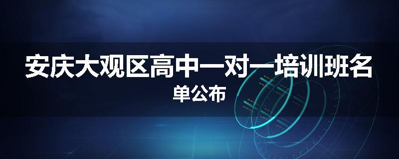 安庆大观区高中一对一培训班名单公布