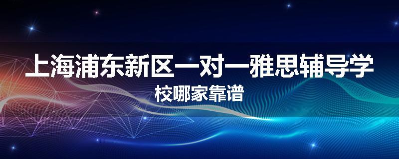 上海浦东新区一对一雅思辅导学校哪家靠谱