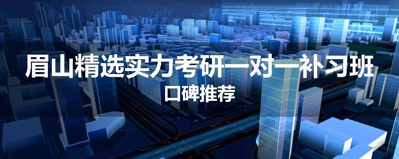 眉山精选实力考研一对一补习班口碑推荐