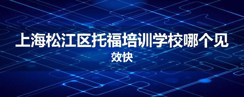 上海松江区托福培训学校哪个见效快