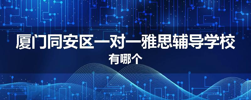 厦门同安区一对一雅思辅导学校有哪个