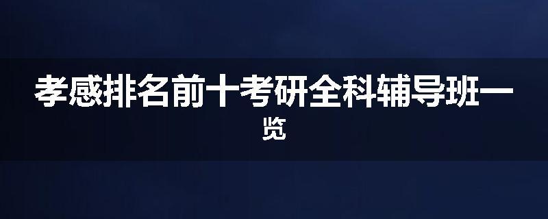孝感排名前十考研全科辅导班一览