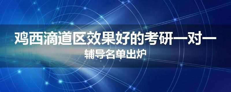 鸡西滴道区效果好的考研一对一辅导名单出炉