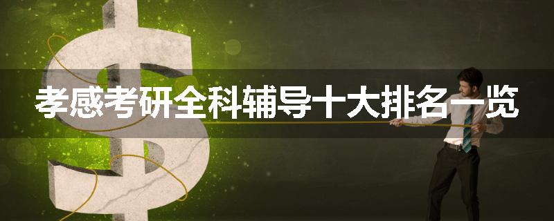 孝感考研全科辅导十大排名一览