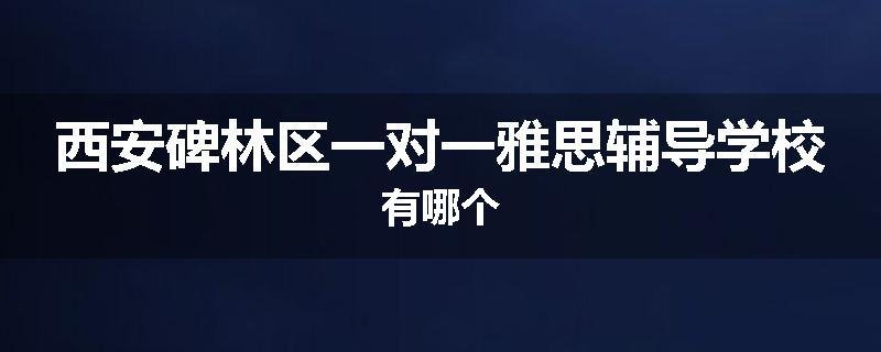 西安碑林区一对一雅思辅导学校有哪个
