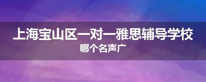 上海宝山区一对一雅思辅导学校哪个名声广