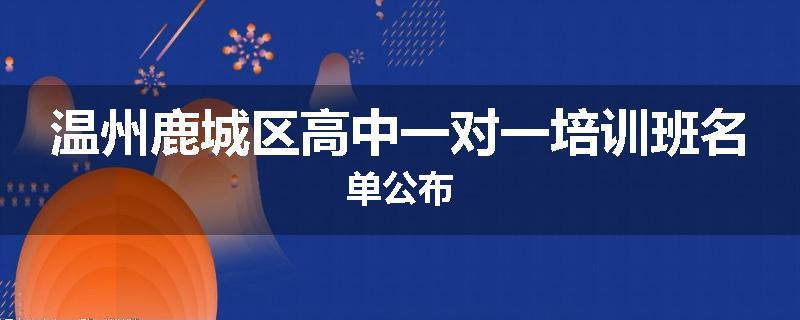 温州鹿城区高中一对一培训班名单公布