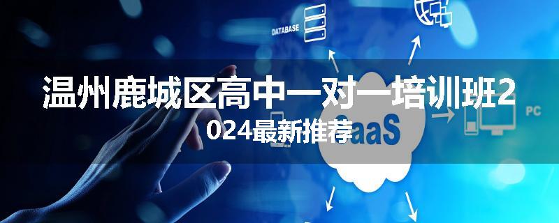 温州鹿城区高中一对一培训班2024最新推荐