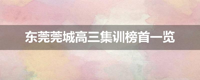 东莞莞城高三集训榜首一览