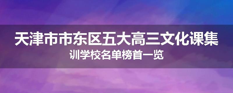 天津市市东区五大高三文化课集训学校名单榜首一览