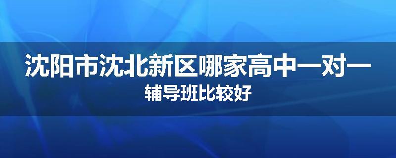 沈阳市沈北新区哪家高中一对一辅导班比较好