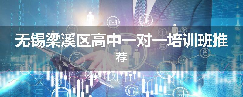 无锡梁溪区高中一对一培训班推荐