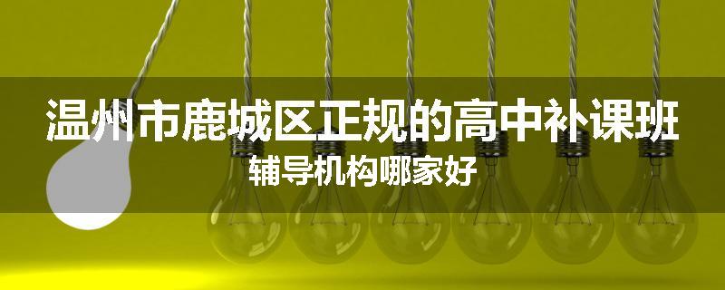 温州市鹿城区正规的高中补课班辅导机构哪家好