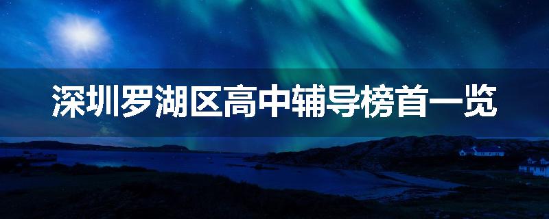 深圳罗湖区高中辅导榜首一览
