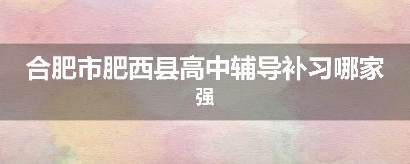 合肥市肥西县高中辅导补习哪家强