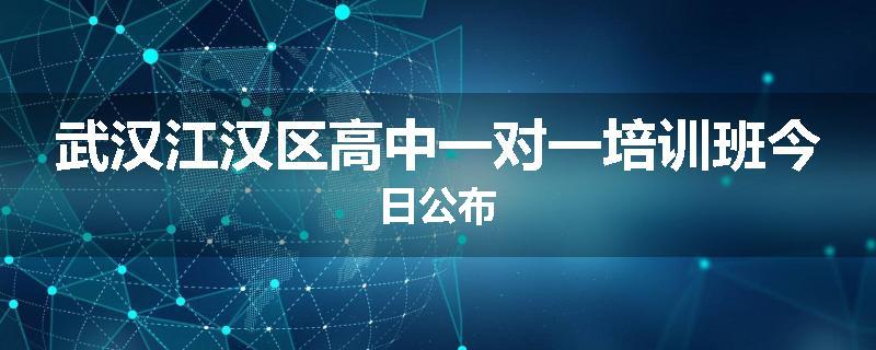 武汉江汉区高中一对一培训班今日公布