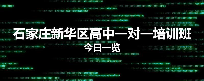 石家庄新华区高中一对一培训班今日一览