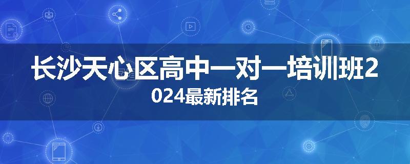 长沙天心区高中一对一培训班2024最新排名