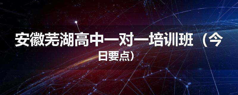 安徽芜湖高中一对一培训班（今日要点）
