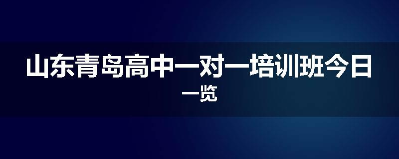 山东青岛高中一对一培训班今日一览