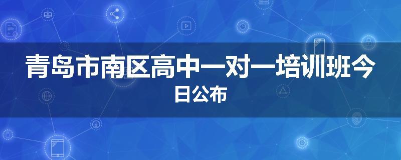 青岛市南区高中一对一培训班今日公布