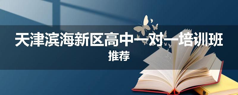 天津滨海新区高中一对一培训班推荐