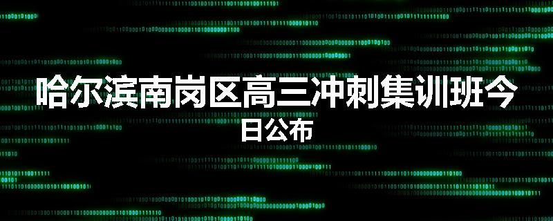 哈尔滨南岗区高三冲刺集训班今日公布