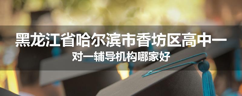 黑龙江省哈尔滨市香坊区高中一对一辅导机构哪家好