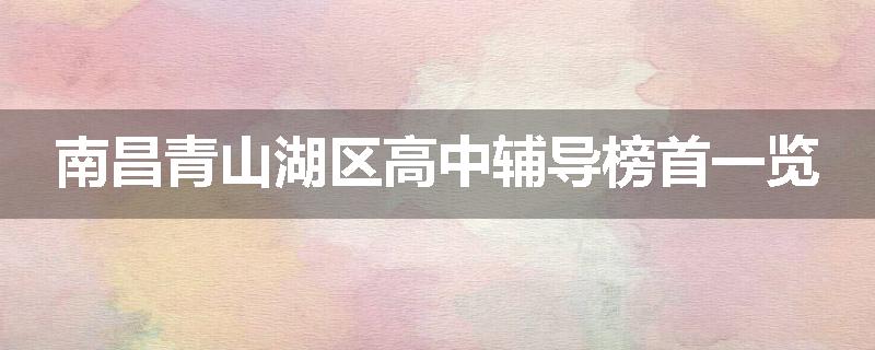 南昌青山湖区高中辅导榜首一览