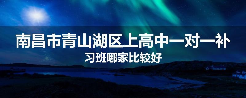 南昌市青山湖区上高中一对一补习班哪家比较好