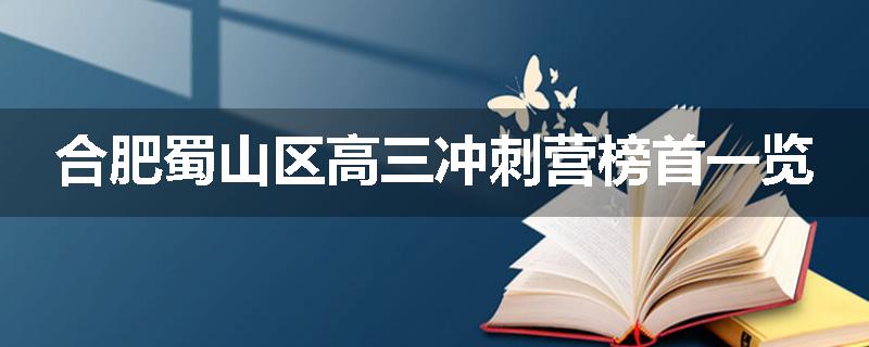 合肥蜀山区高三冲刺营榜首一览