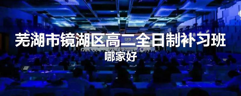 芜湖市镜湖区高二全日制补习班哪家好