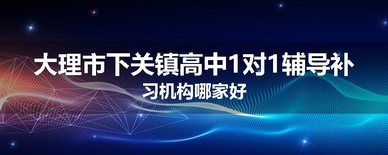 大理市下关镇高中1对1辅导补习机构哪家好