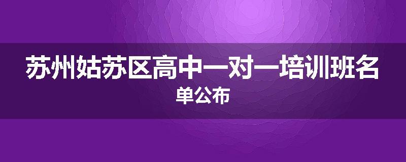 苏州姑苏区高中一对一培训班名单公布