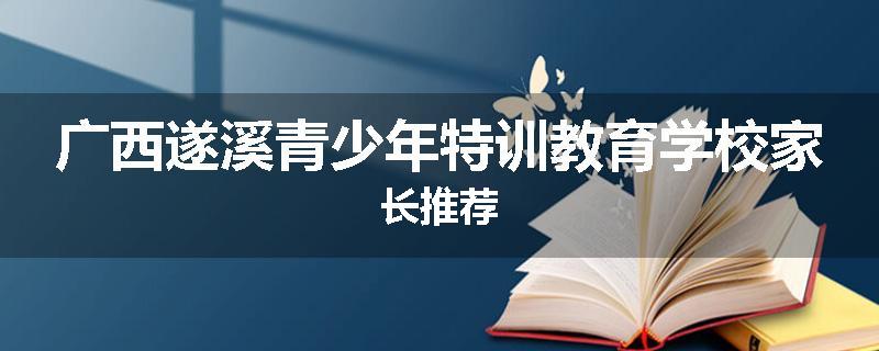 广西遂溪青少年特训教育学校家长推荐