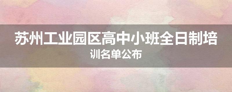 苏州工业园区高中小班全日制培训名单公布