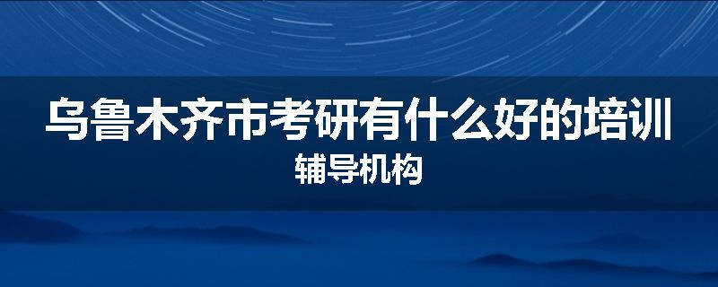 乌鲁木齐市考研有什么好的培训辅导机构