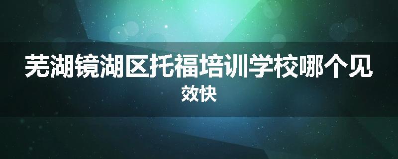 芜湖镜湖区托福培训学校哪个见效快