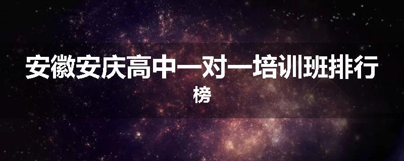 安徽安庆高中一对一培训班排行榜