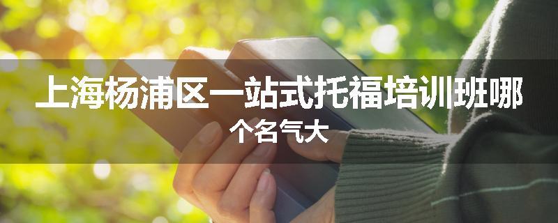 上海杨浦区一站式托福培训班哪个名气大
