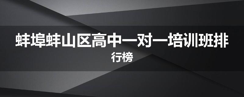 蚌埠蚌山区高中一对一培训班排行榜