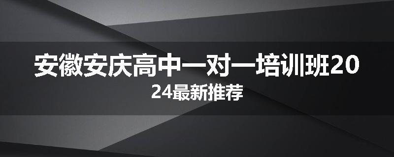 安徽安庆高中一对一培训班2024最新推荐