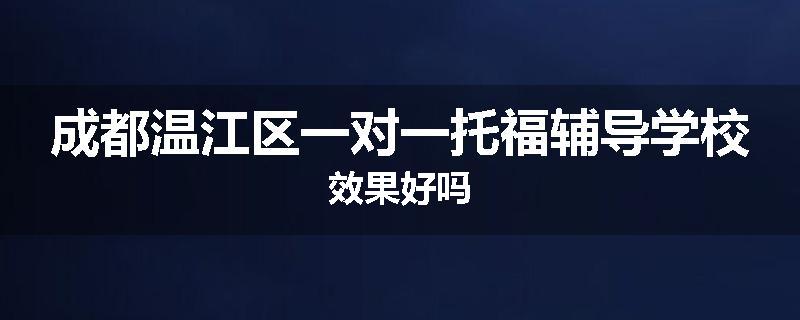 成都温江区一对一托福辅导学校效果好吗