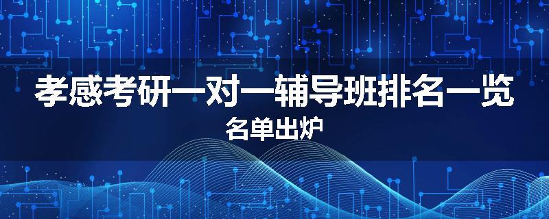 孝感考研一对一辅导班排名一览名单出炉